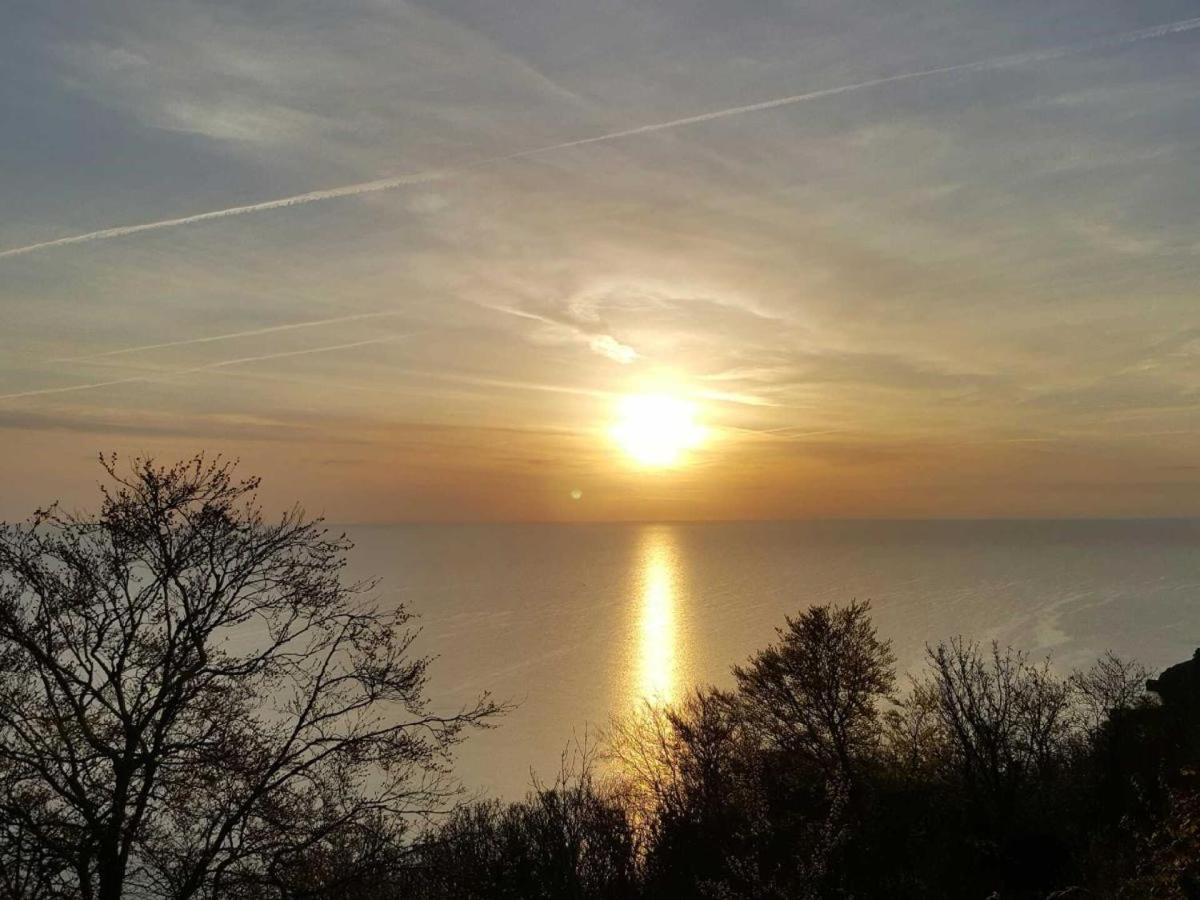 Babbacombe Palms Hotel Torquay Exterior photo